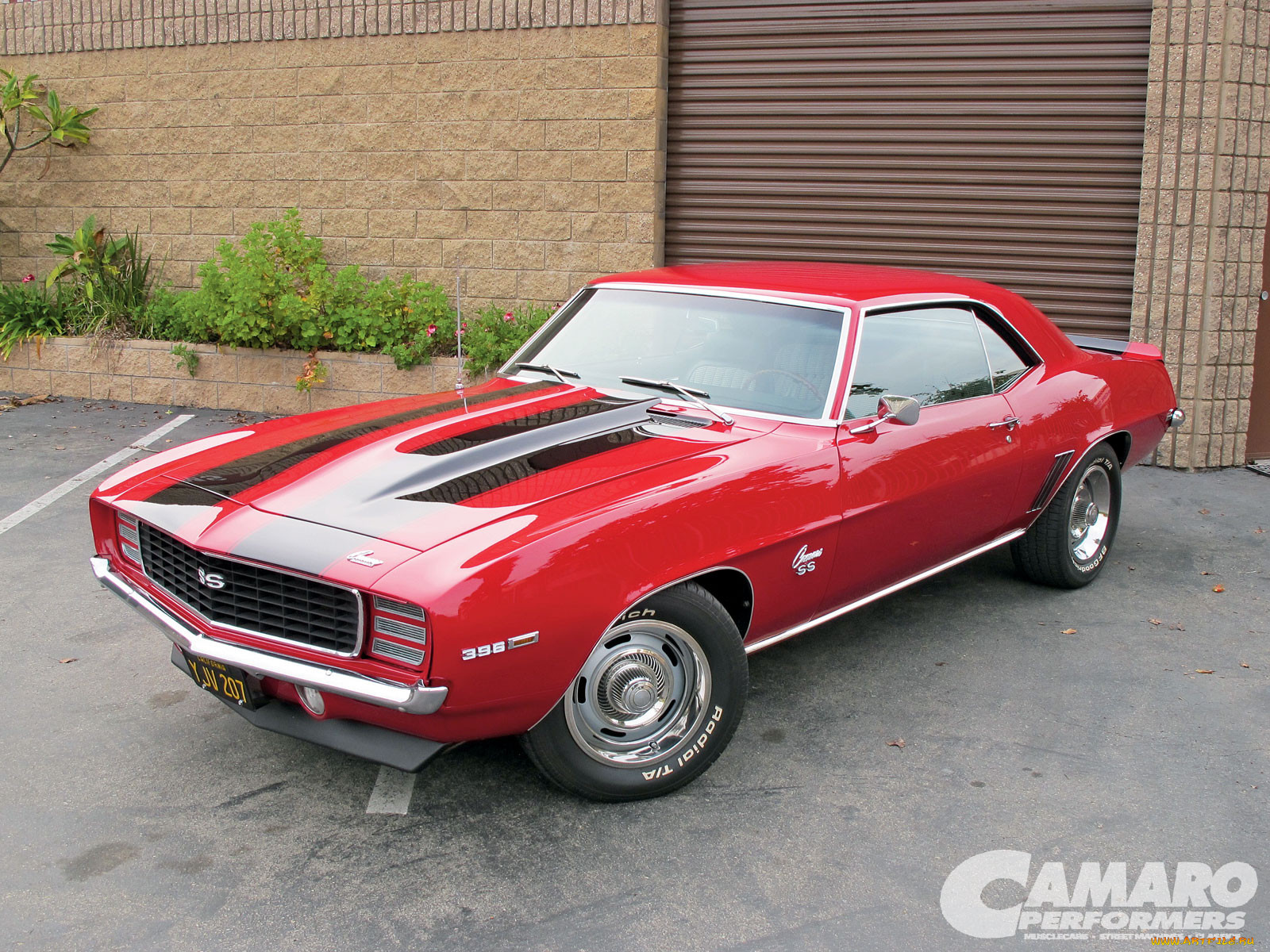 , camaro